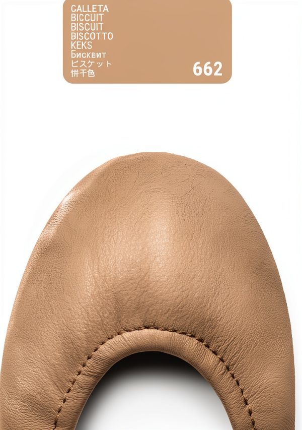 Tarrago Leather Dye Biscuit #662-1