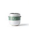 Rice Cooker Bar 3-Cup Cooker with 3D Heating, PFAS-Free Light Green-1